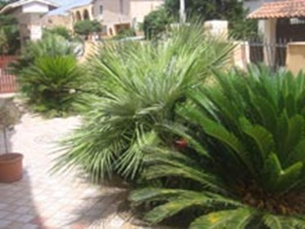 B&B Villa Olimpo Le Torri Agrigent Exterior foto